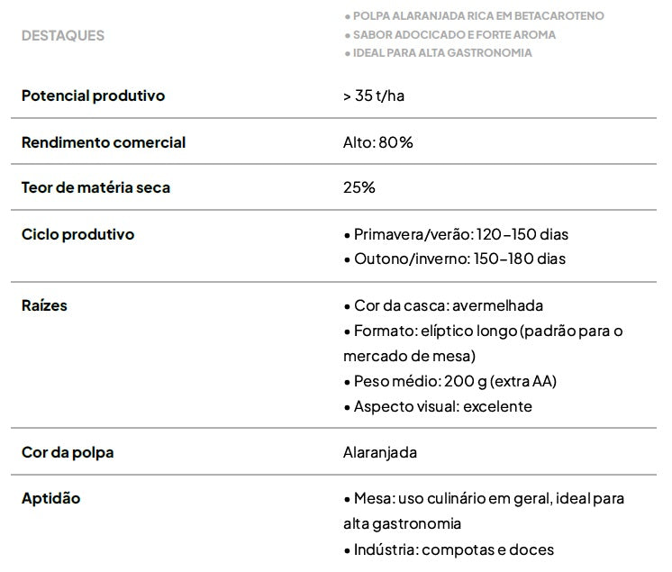 Kit com 50 Ramas de Batata-Doce IAC 134 AL01 – A Biofortificada de Polpa Laranja