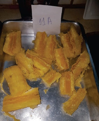 Kit com 25 Manivas de Mandioca IAC 601 Vitaminada – A "Cenoura" das Mandiocas