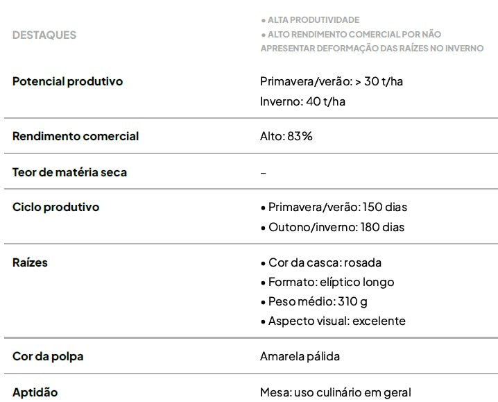 kit com 50 Ramas de Batata-Doce IAC Lavínia – A Rainha do Inverno